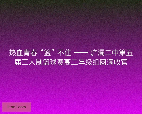 热血青春 “篮” 不住 —— 浐灞二中第五届三人制篮球赛高二年级组圆满收官