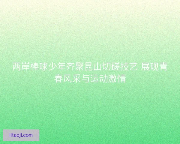 两岸棒球少年齐聚昆山切磋技艺 展现青春风采与运动激情