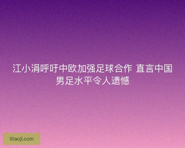 江小涓呼吁中欧加强足球合作 直言中国男足水平令人遗憾 江小涓呼吁中欧加强足球合作 直言中国男足水平令人遗憾
